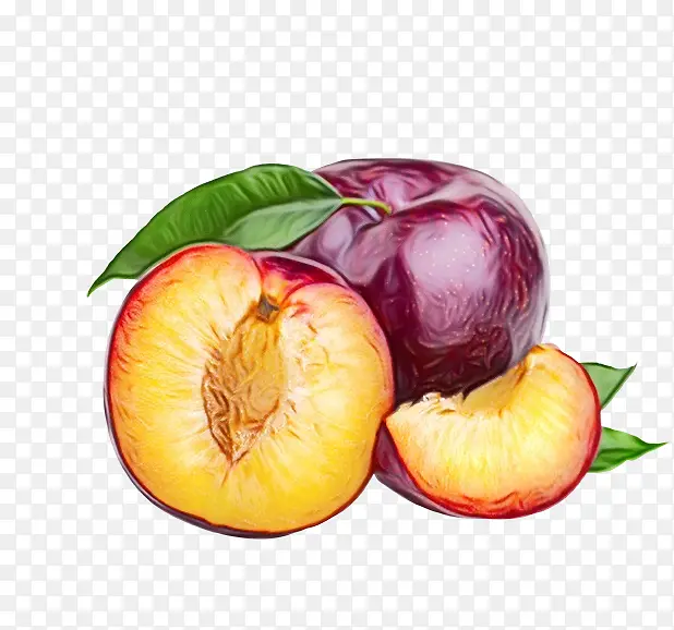 ʳƷ �� ����ʳƷ-������