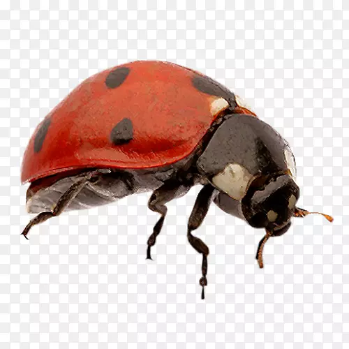 ư���ߵ�ư��-������