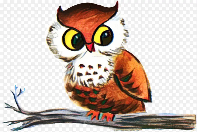 èͷӥ �� ֽ-������