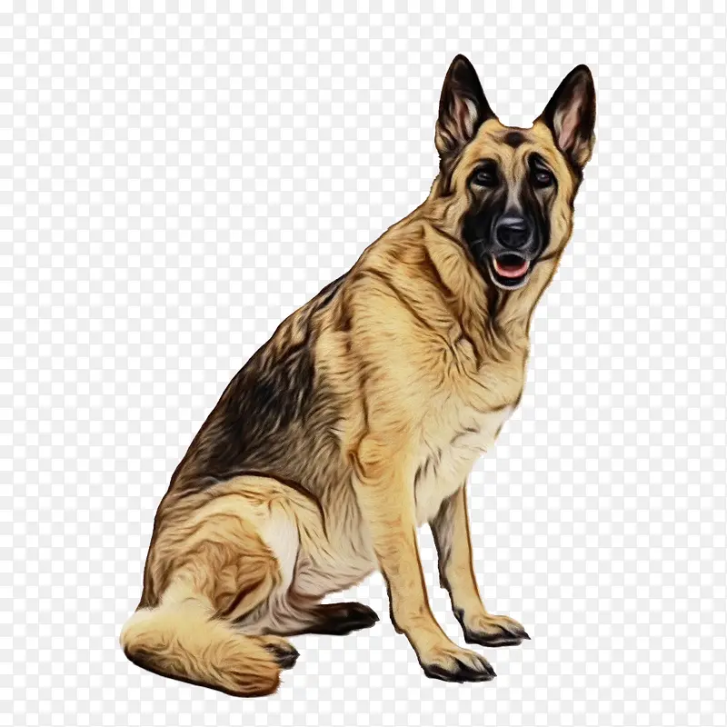 �¹�����Ȯ С�� ������Ȯ-������