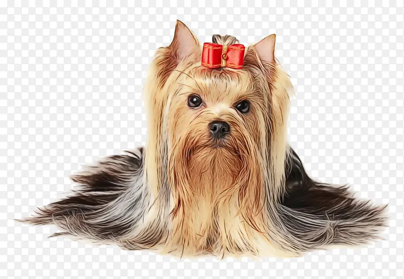 Լ�˿��� �ܿ��������� ��ţ��-������