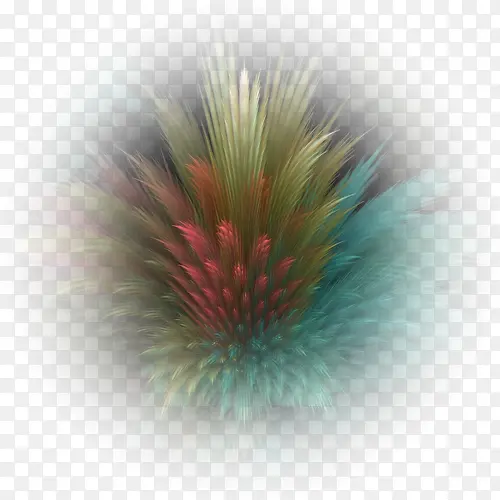 ���� �� ֲ��-������