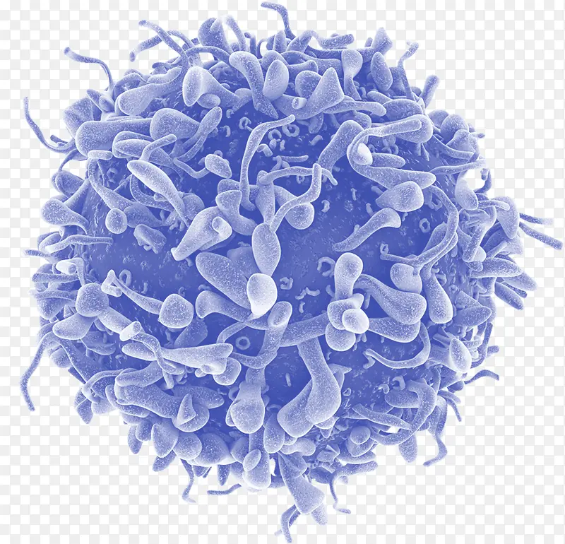 ��֢ ����ѧ ����-������