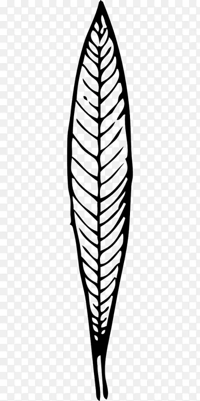 �Ǻڼ��׵�-������