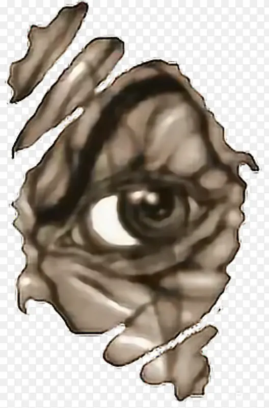 ������ ���� ����-������