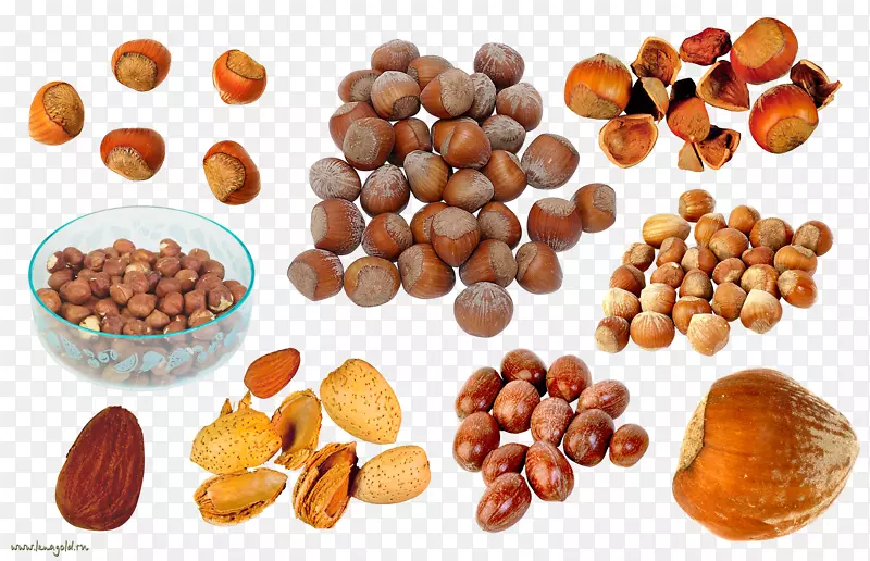 ������-������