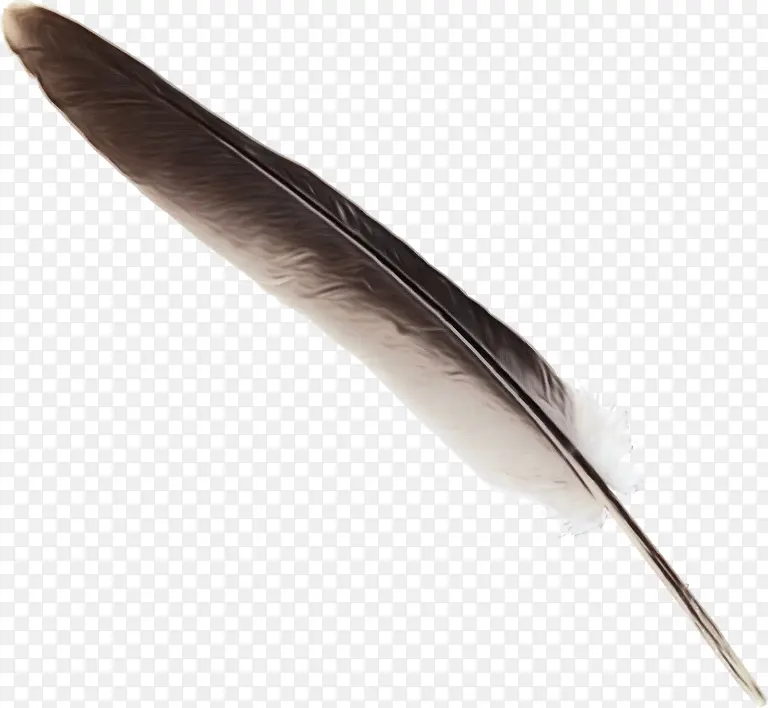 ��ë ��ë�� �ֱ�-������