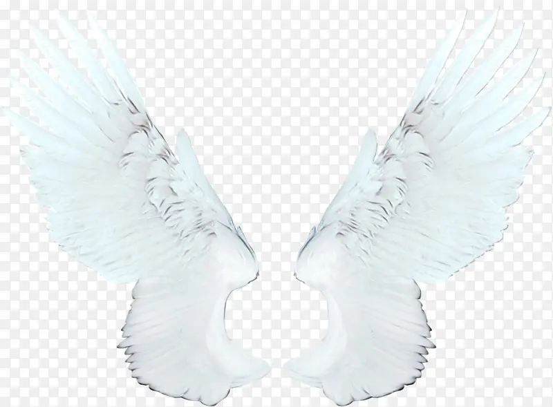 ��� �滭 ��ʹ-������