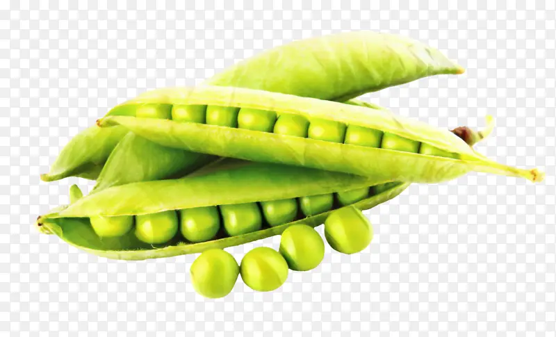 ʳƷ �߲� �л�ʳƷ-������