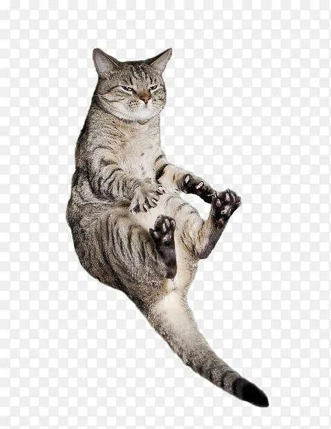 è ����è ��Ȯ-������