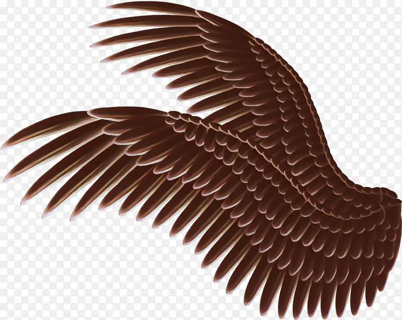 �滭 ��� ާ��-������