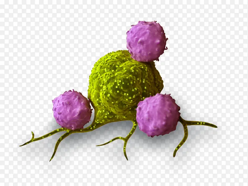 ��֢ ����ѧ ����-������