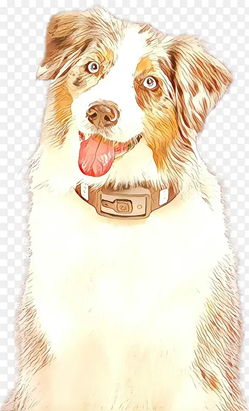 �Ĵ���������Ȯ ��˹����Ѽ����Ѱ��Ȯ ����Ȯ-������