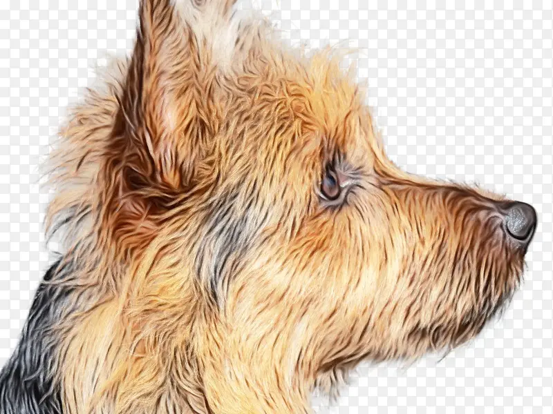 ŵ���湣 �Ĵ�����˿�� �Ĵ����ǹ�-������