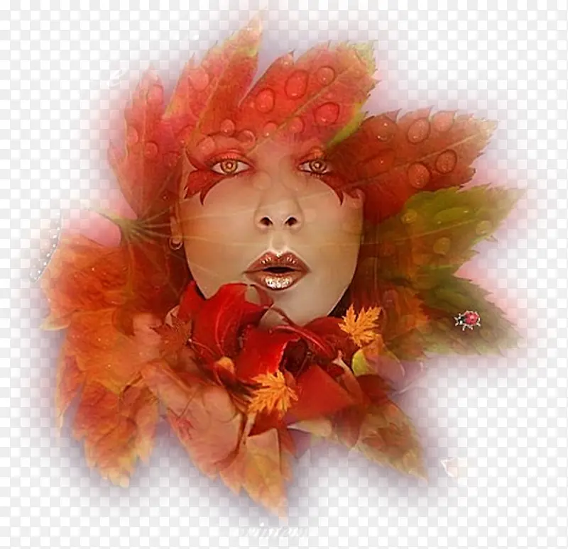 �滭 ���� ����-������