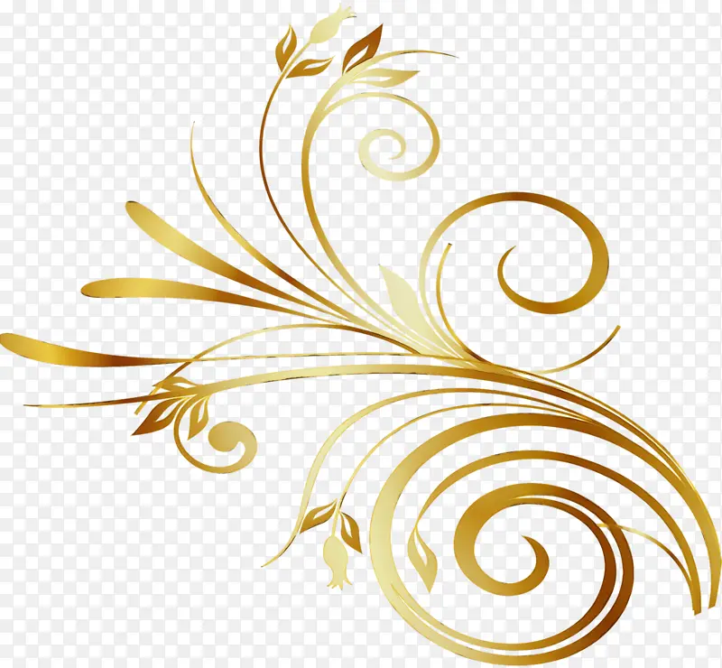 �������� ���� ����-������