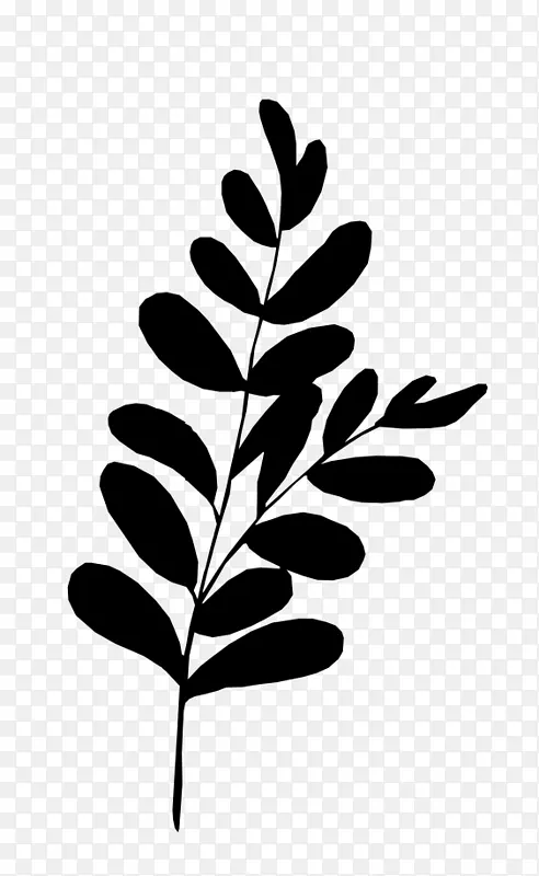 ��֦ ֲ�ﾥ ��-������