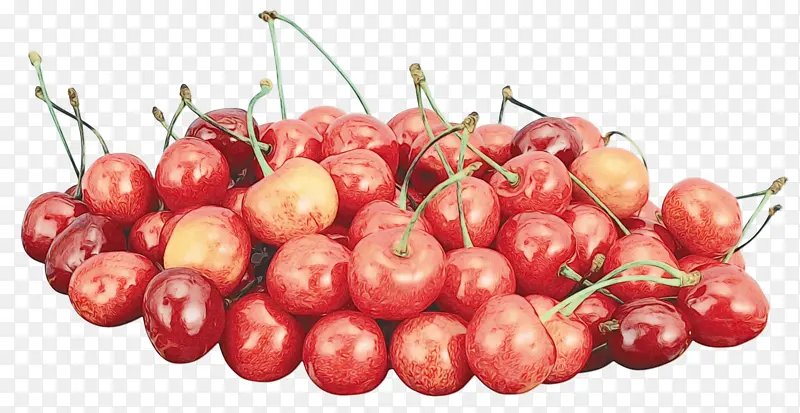 �ͰͶ�˹ӣ�� ʳƷ ����ʳƷ-������