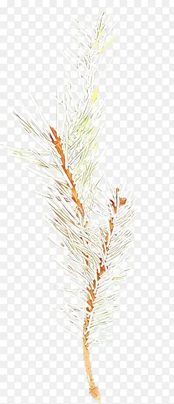 �ɹ���Ʒ�� ��Ʒ ��-������