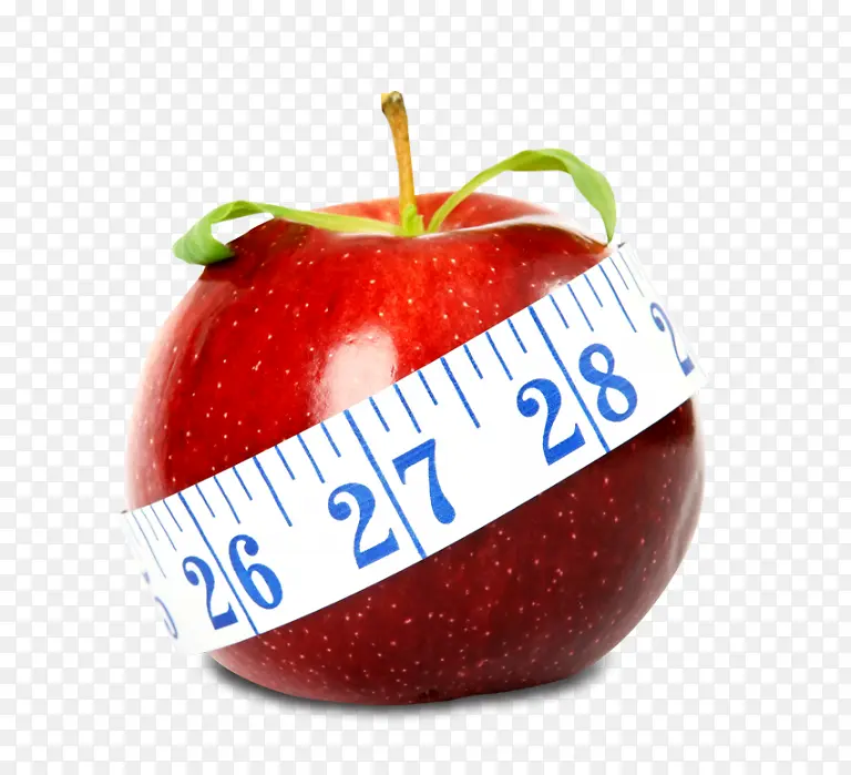 ���� ƻ�� ����-������