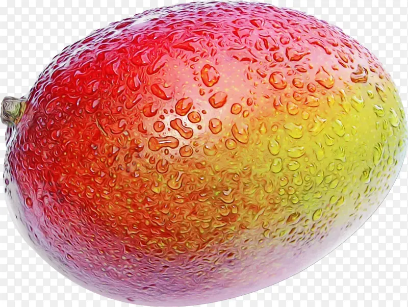 ƻ�� ˮ�� ֲ��-������