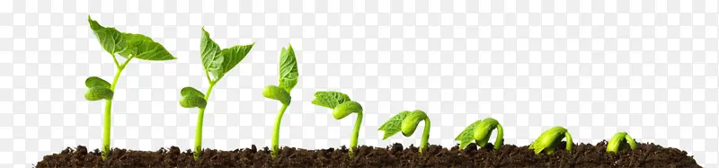 ֲ�� ��� ��-������