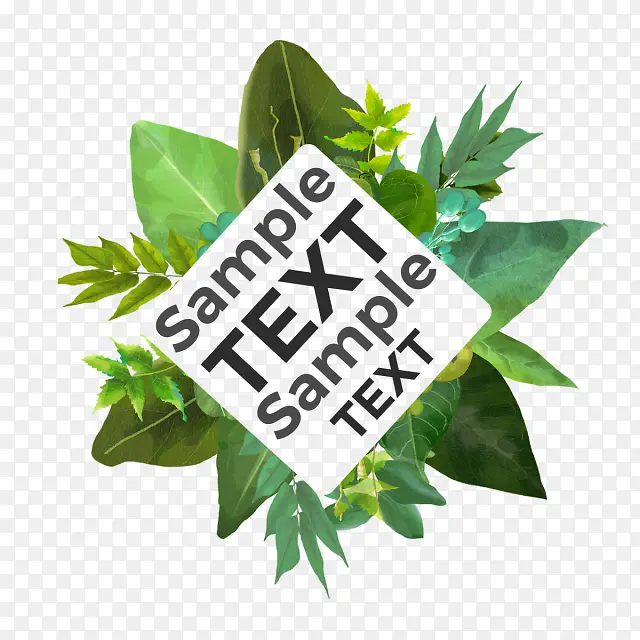 Ҷ�� ˮ�ʻ� ��-������