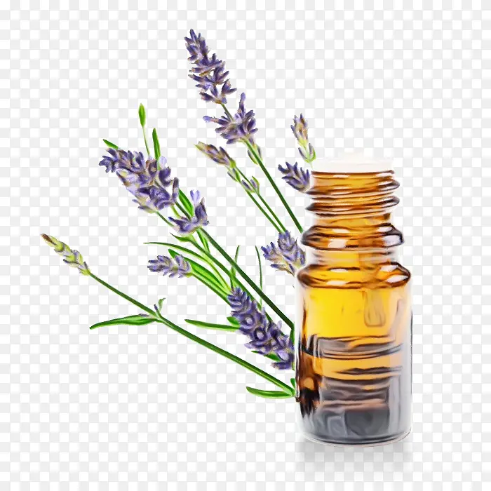 �ݱ�ֲ�� ޹�²� ҽҩ-������