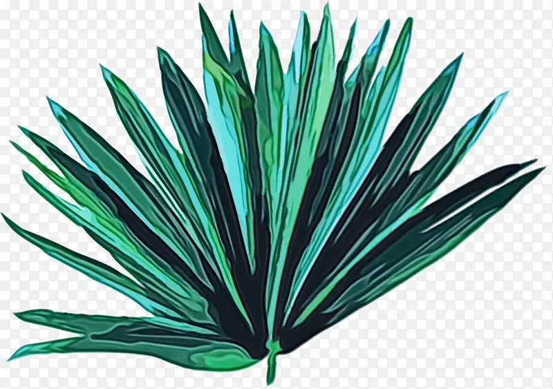 Ҷ�� ��ɫ ��-������