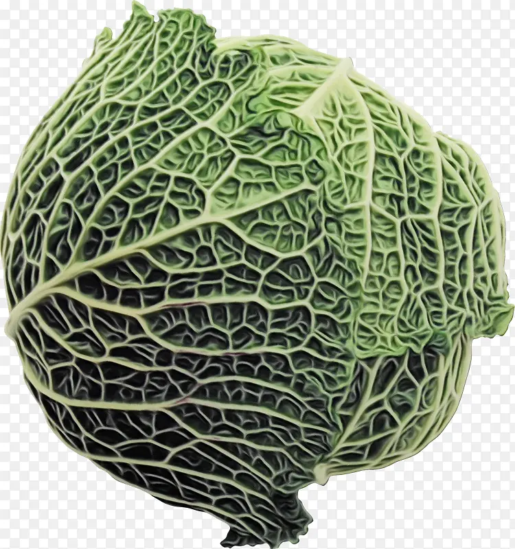 �߲� ���Ĳ� С���Ĳ�-������