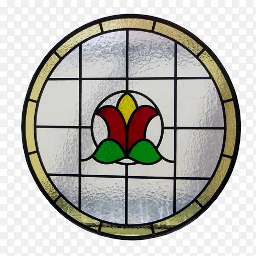 ��ɫ���� �Ӿ����� ����-������