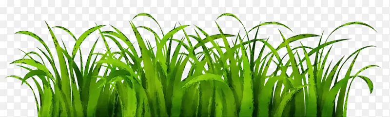 ��ƺ �� ���Ͳ�-������