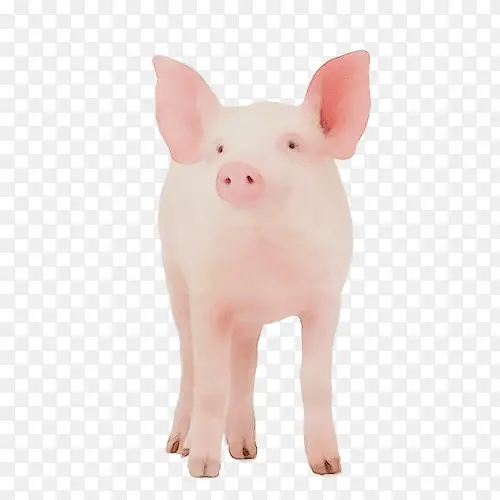 �� �� ����-������