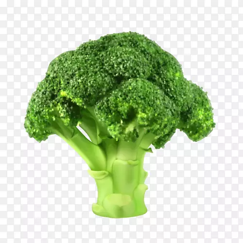 �������߲˼�����.������-������