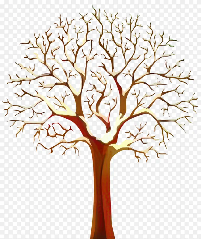 ��֦ ֲ�ﾥ ��-������