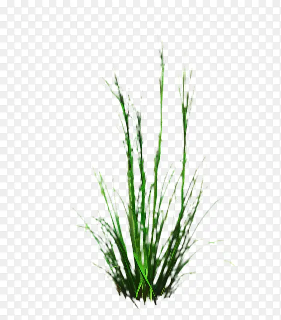 ����� С��� ��ľ-������