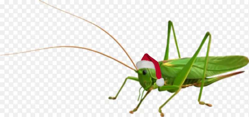 ���� �ȳ� ��ü-������