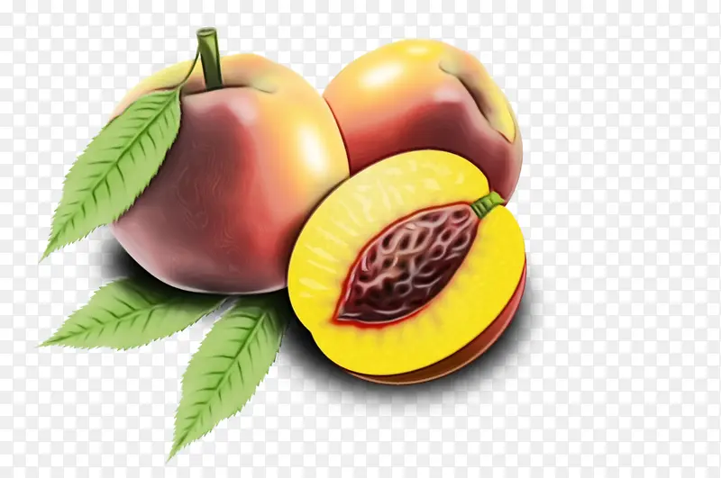 ���� ��ð���� ʳƷ-������