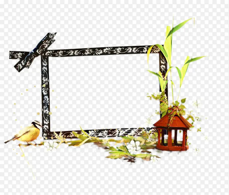 ���� ������ �������-������