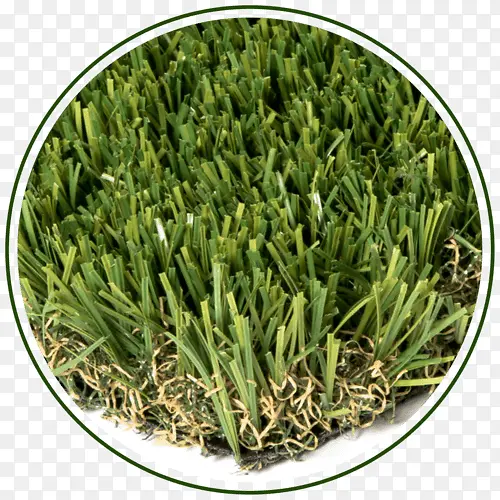 �����Ƥ ��ƺ ��ݻ�-������