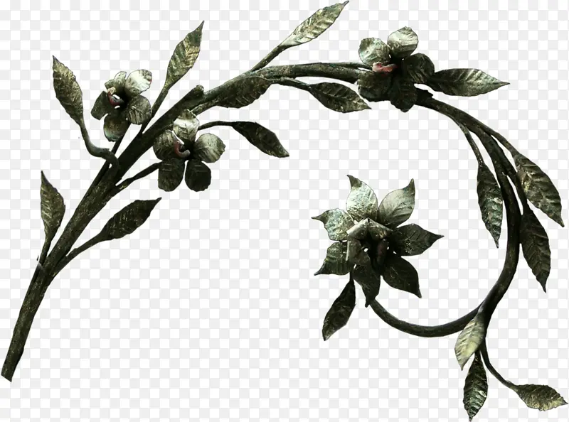 Ҷ�� ��֦ ��֦-������