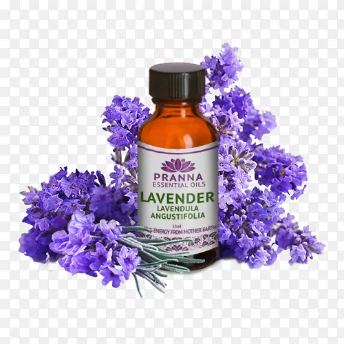 ޹�²� ��ɫ ����-������