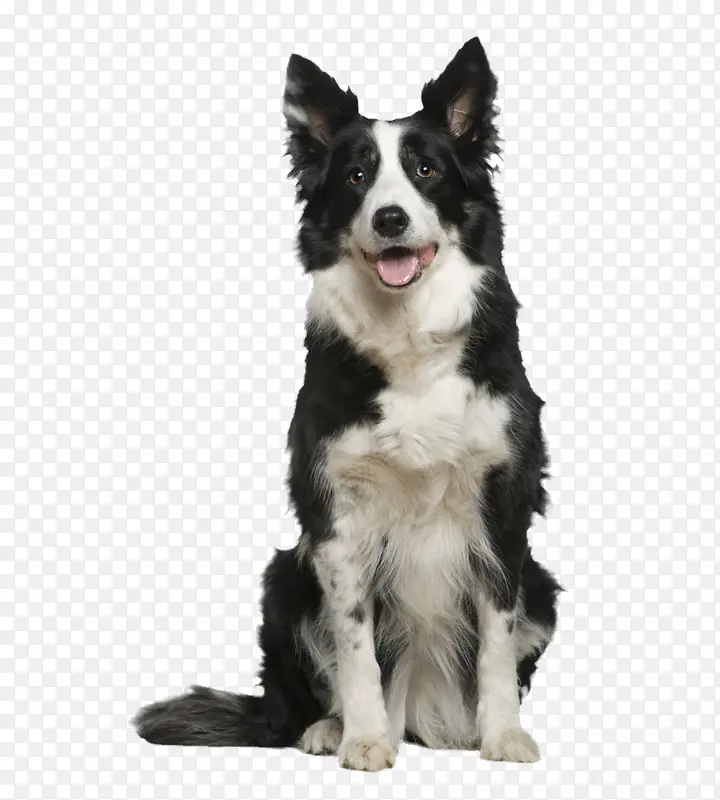 �߾�����Ȯ ������Ȯ С��-������