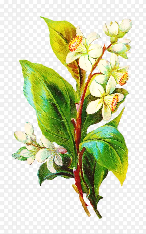 �滭 ���� ˮ�ʻ�-������