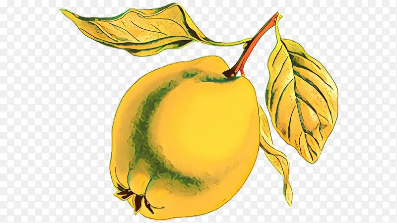 ���� �� Ҷ-������