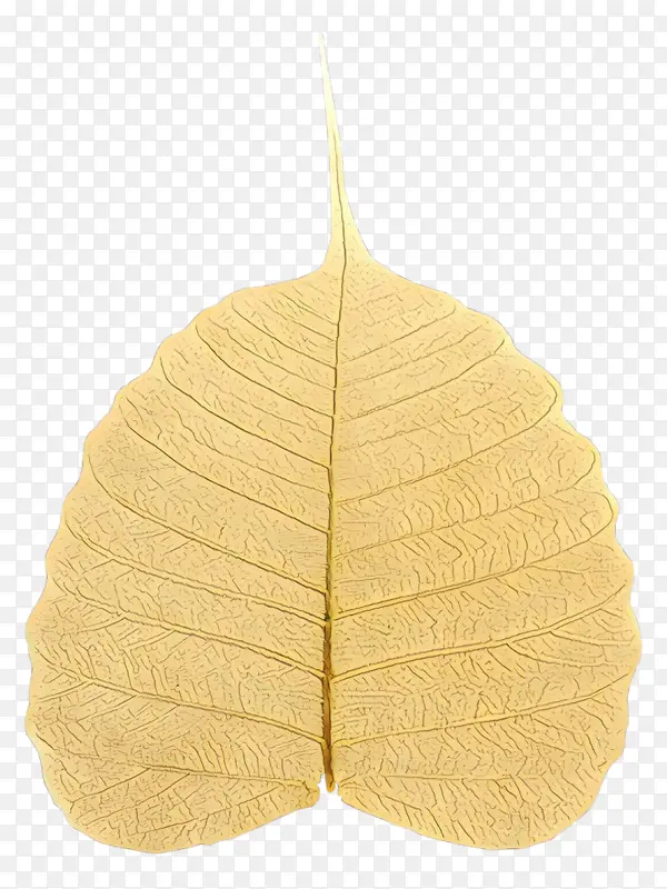 Ҷ�� ��ɫ ��-������