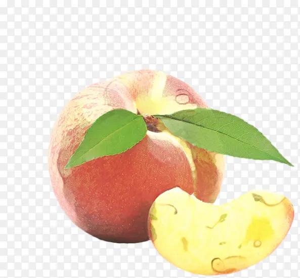 ʳƷ ����ʳƷ ����ʳƷ-������