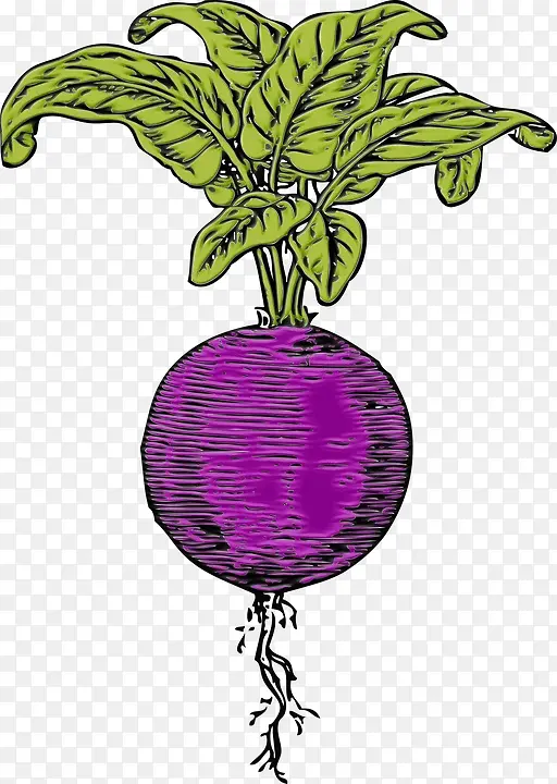 ��˸� �߲� �����߲�-������