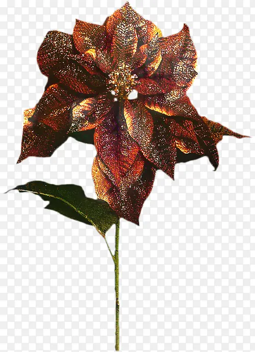 �� ���� �л�-������