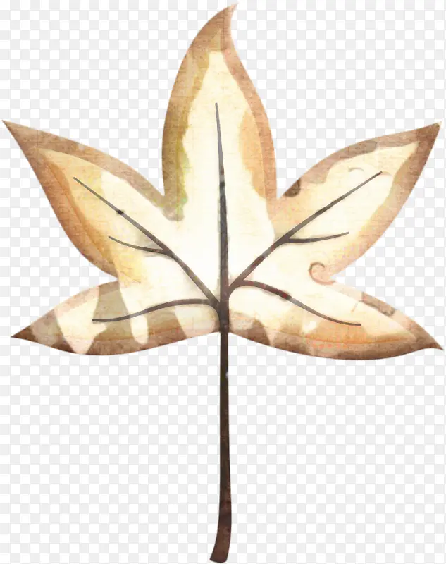 Ҷ �Գ� ��-������